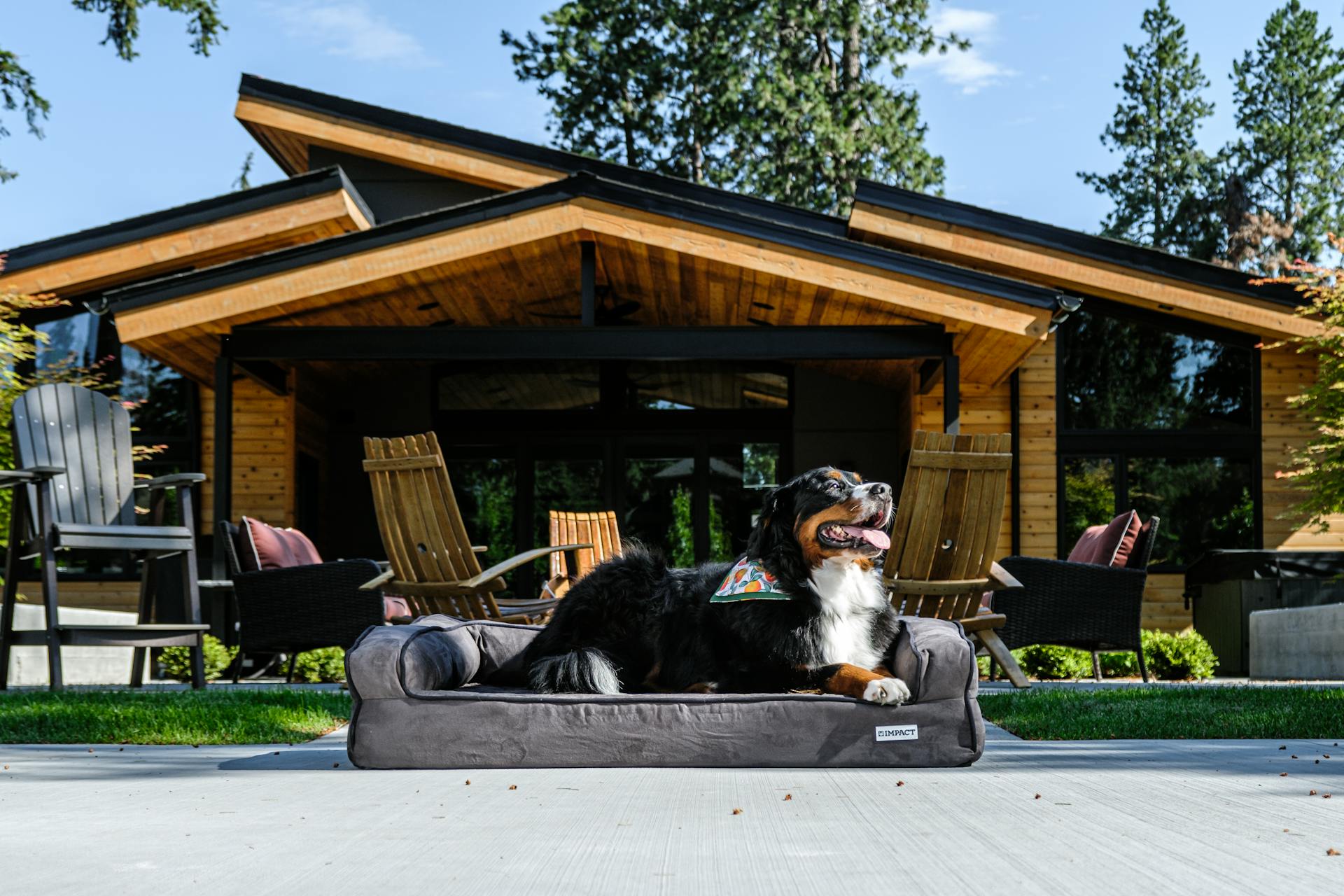 How Professional Photography Can Increase Property Sales